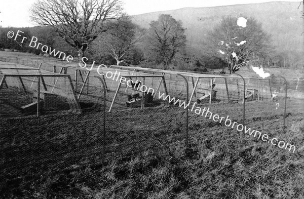 BALLYFEE GENERAL VIEW FROM O.P (OBSERVATION POST)